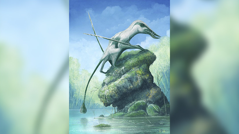 Descubren en el Reino Unido una nueva especie de pterosaurio del perÃodo Jurásico