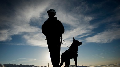 Discriminan a un héroe de guerra por entrar al bar de un hotel con su perro