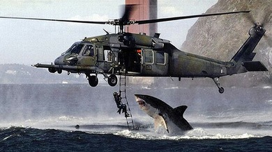 20 fotomontajes que confunden a los internautas