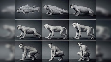 Una etapa de la evolución humana necesita revisión