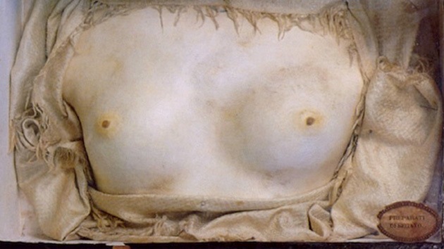 El misterio de una tecnología perdida capaz de convertir a los humanos en piedra