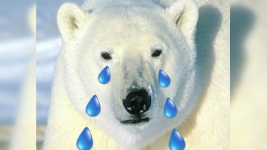 El cambio climático amenaza a los tigres, los osos polares y el atún rojo