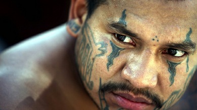 Conozca las caras de la pandilla más violenta de Centroamérica: Mara Salvatrucha