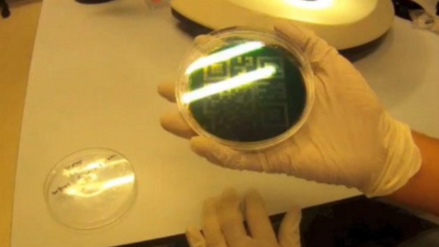 Crean un disco duro revolucionario que podría sobrevivir a la humanidad