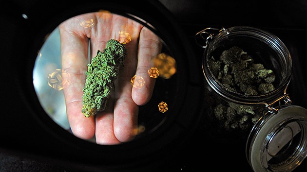 La primera tienda de marihuana recreativa en EE.UU. abrirá sus puertas en Colorado