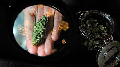 La primera tienda de marihuana recreativa en EE.UU. abrirá sus puertas en Colorado