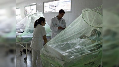 Este año 35 paraguayos murieron por el dengue