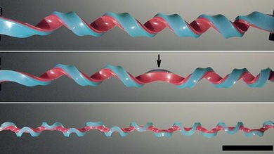 Descubren una nueva forma geométrica