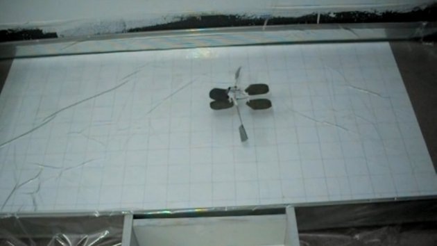 VIDEO: Nuevo robot chino salta sobre el agua