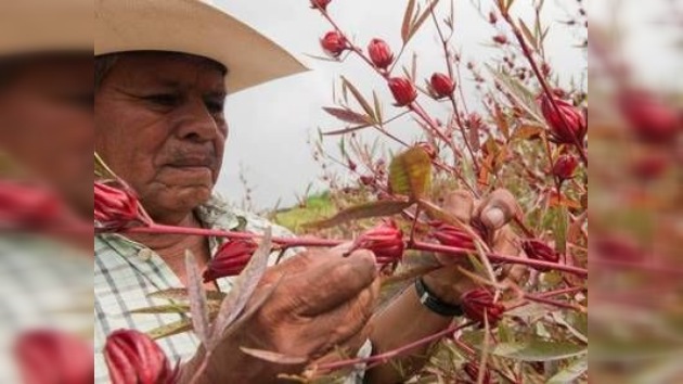 Torturan y ejecutan a otro activista del Movimiento por la Paz mexicano