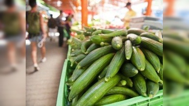 Alemania exculpa a España por la ‘crisis del pepino’