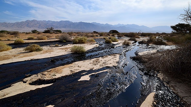 Israel se enfrenta a su mayor catástrofe ecológica
