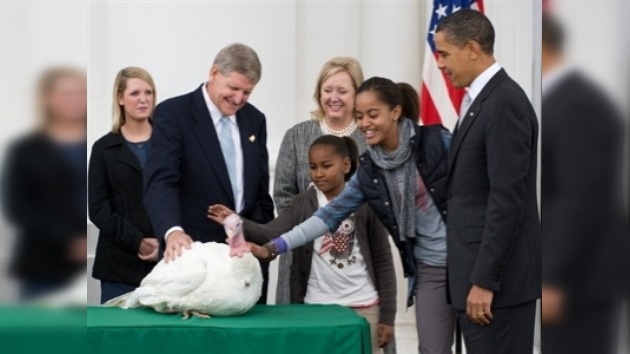 Obama 'indultó' a dos pavos en vísperas del día de Acción de Gracias