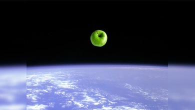 Envían al espacio el 'autógrafo tallado' de Newton