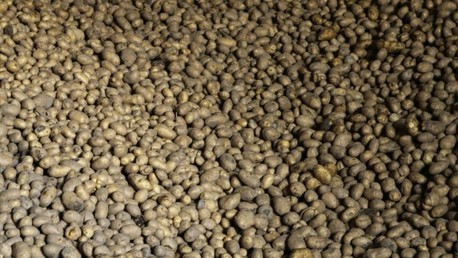 Empresa mexicana invierte 50 millones de dólares en una fábrica de papas fritas en Rusia