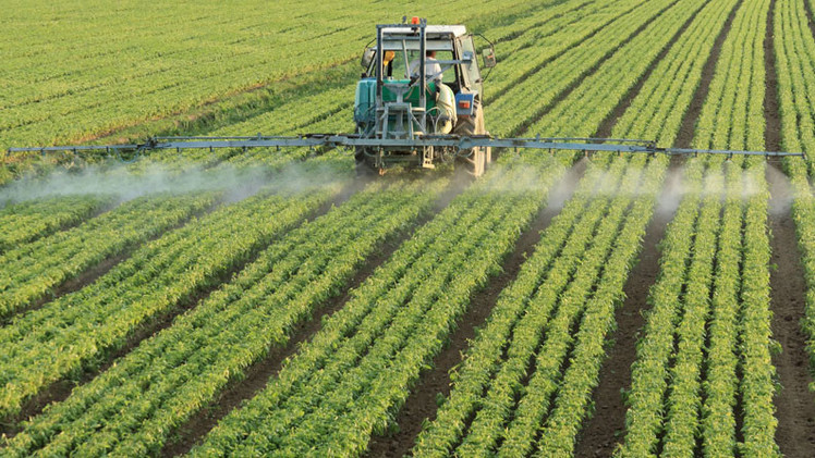 Estudio: Herbicidas de Monsanto dañan el ADN