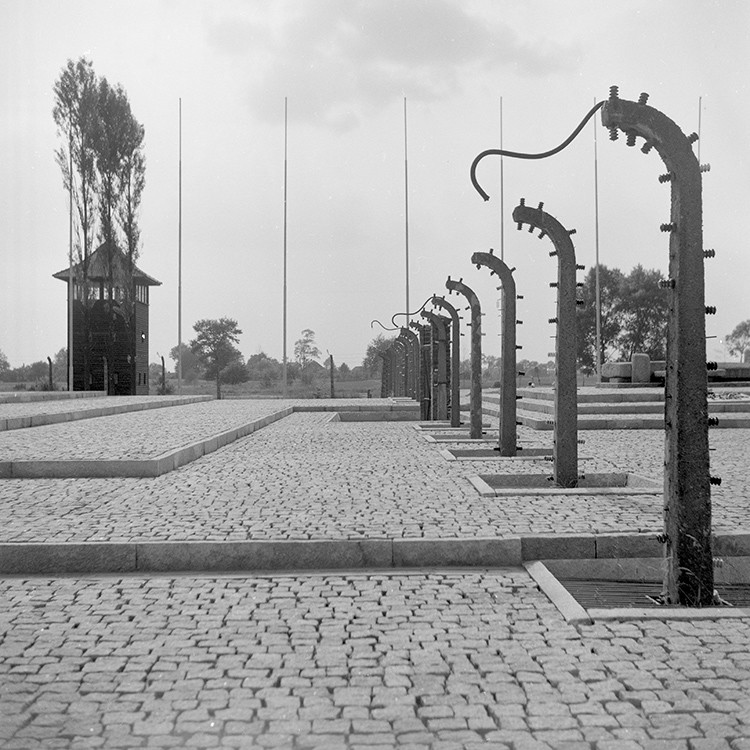 Auschwitz celebra el 70º aniversario de la liberación del