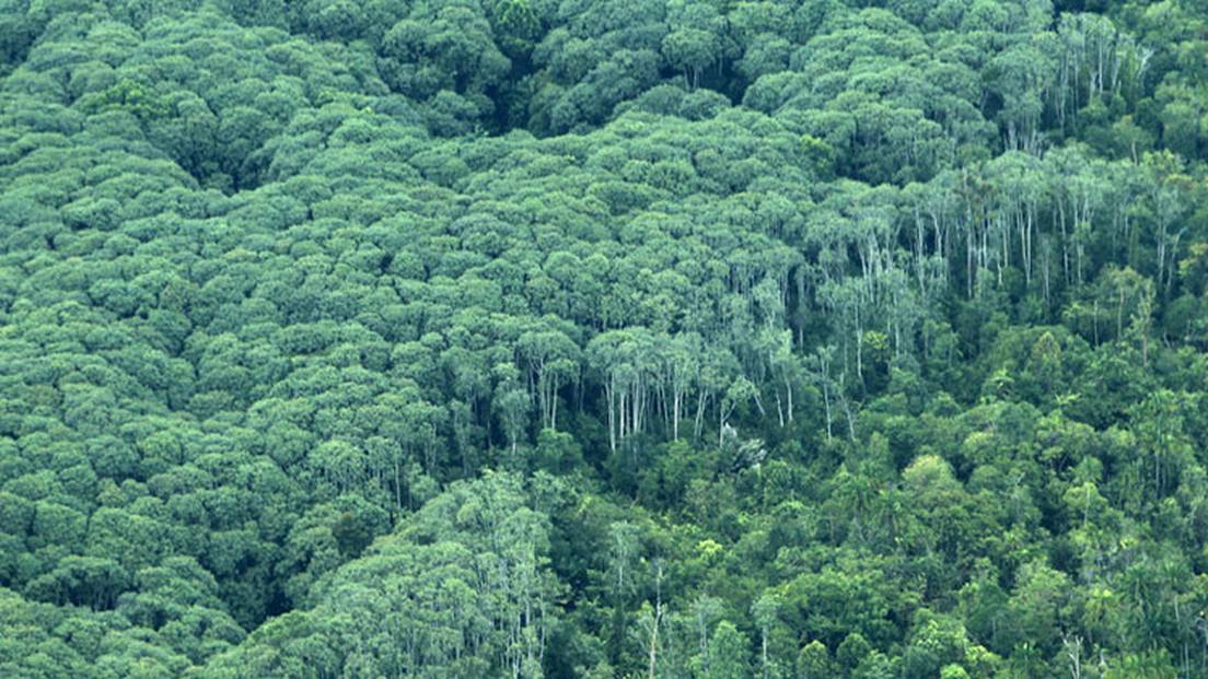 Calentamiento Global Cientificos Encuentran La Solucion Para Salvar Al Planeta Rt