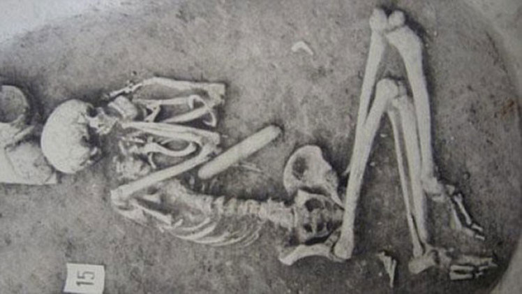 Las lenguas indoeuropeas tienen sus misteriosos orígenes en las estepas del este