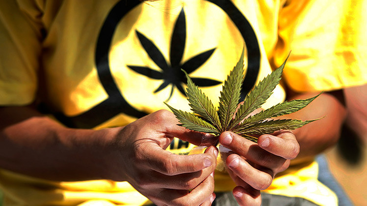 ¿Son los cultivos de marihuana la causa de la sequía en California?