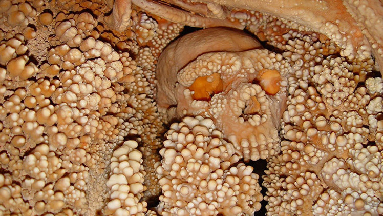 Un esqueleto italiano revela el más antiguo ADN de un neandertal
