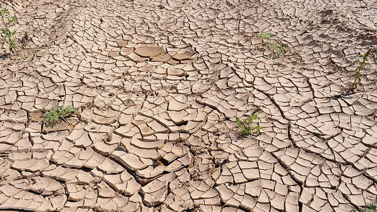 La 'guerra del agua': enfrentamientos, hambre y terrorismo mundial