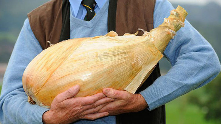 Encuentran un método para cultivar verduras gigantescas