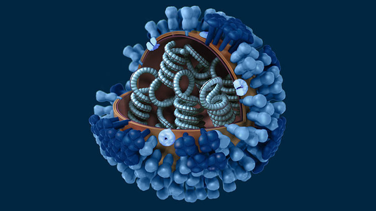 Encontrada la 'panacea' para curar el cáncer de piel con la ayuda del virus del herpes