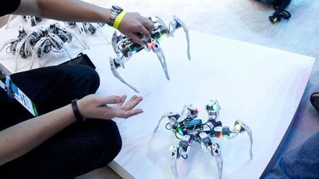 Video: Un robot con instinto animal se recupera del daño en 40 segundos
