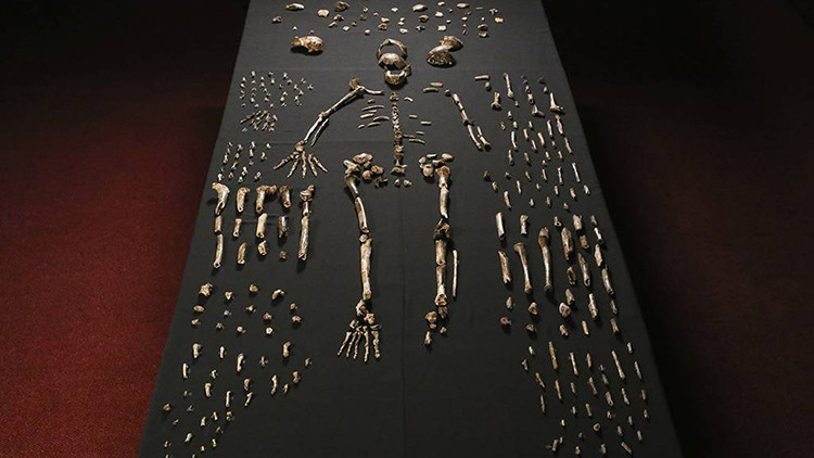 Descubren una especie humana desconocida hasta la fecha: Homo naledi