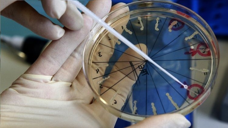 Vitalidad extraordinaria: revelan el secreto de los animales capaces de vivir en el espacio