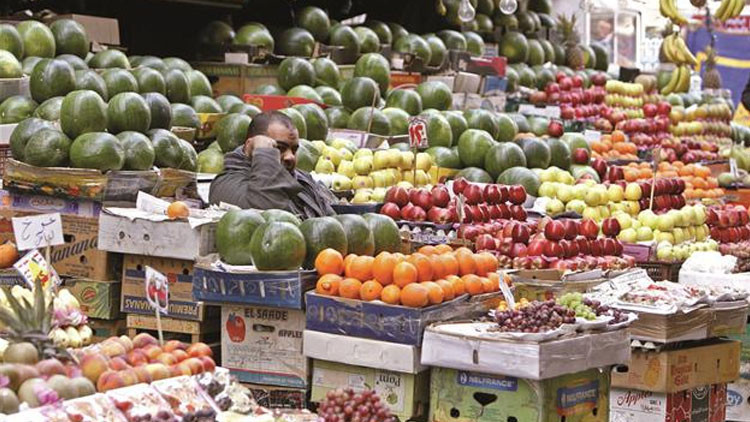 Nadie es imprescindible: Egipto se ofrece a Rusia para reemplazar la importación de bienes turcos