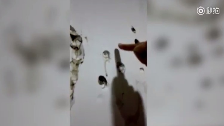 Un chino con habilidades ‘sobrehumanas’: deforma una pared con un dedo