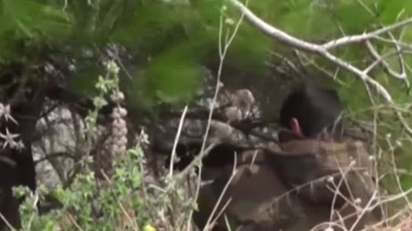 Video: El Ejército sirio retoma el control de un pueblo estratégico del norte del país
