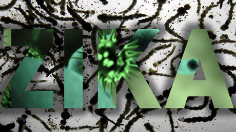 El virus del Zika