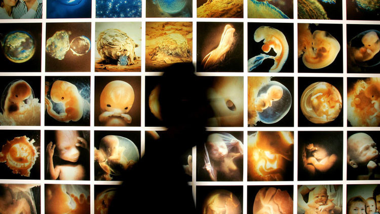 Los científicos británicos modificarán genéticamente embriones humanos sanos