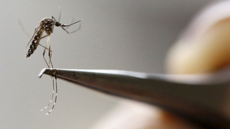 ¿Por qué el brote del virus del Zika es más grave de lo que imaginaban?