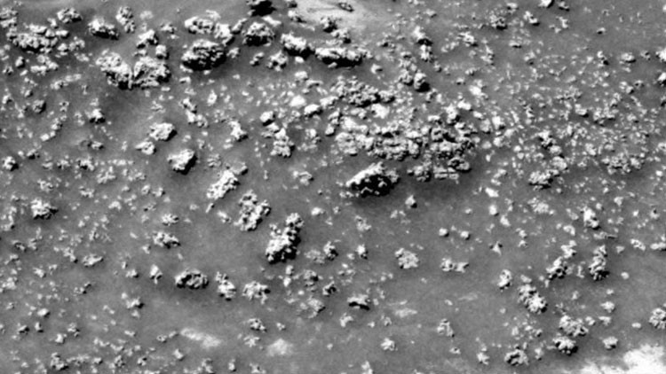 ¿Un antes y un después?: Científicos creen haber hallado la prueba de que existió vida en Marte