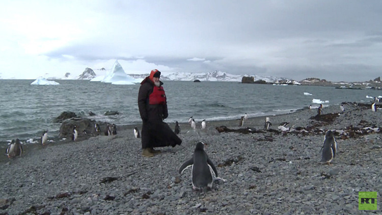 El patriarca ruso reza en la única iglesia ortodoxa de la Antártida y pasea entre pingüinos (Video)