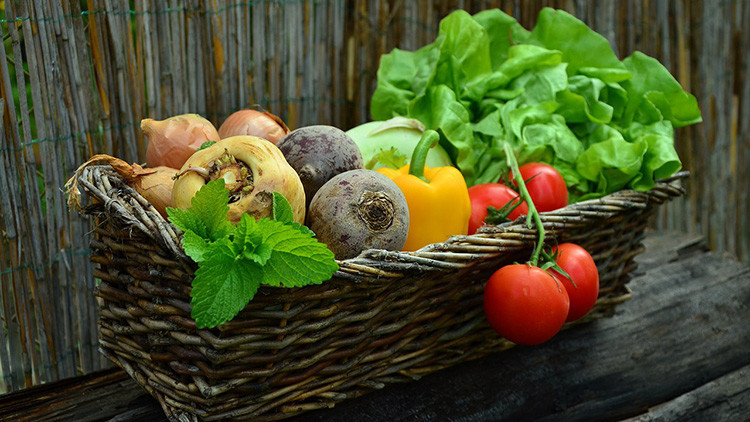 ¿Mata la dieta vegetariana? Un estudio alerta sobre el riesgo de cáncer y enfermedades cardíacas
