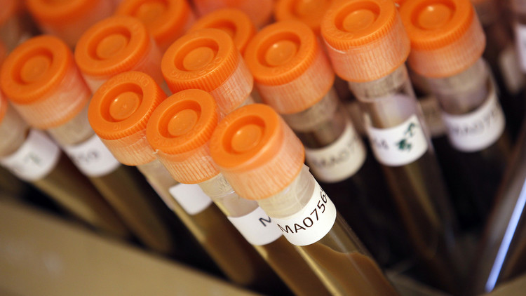 Sin salvación posible: ¿Qué haremos cuando llegue el 'armagedón' de los antibióticos?