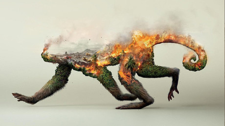 Impactantes imágenes de cómo la actividad humana destruye la vida de los animales
