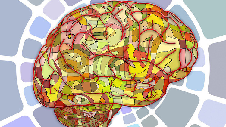 Descubren que las células 'limpiadoras' del cerebro pueden volverse 'caníbales'