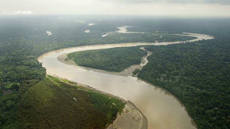 "Nos quedamos todos atónitos": Gran descubrimiento en las profundidades del Amazonas