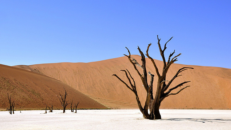 Calor extremo: Para el 2050 varios países serán inhabitables