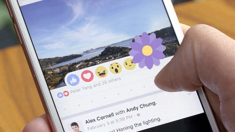 Descubra el significado del experimento de la flor morada de Facebook