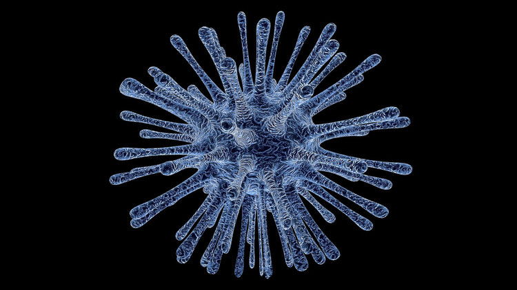 Descubren unos virus gigantes con doble blindaje
