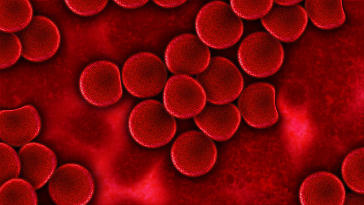 Logran erradicar el VIH por medio de un tratamiento experimental