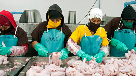 Obligan a usar pañales a empleados de la industria avícola de EE.UU.