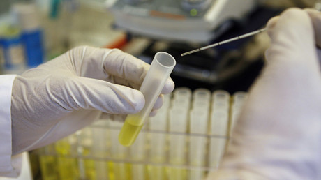 Países Bajos permitirá el cultivo de embriones humanos